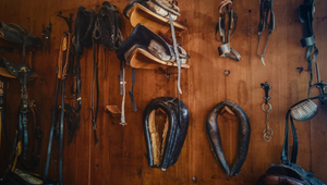 Essential Tack Items Every Rider Should Have