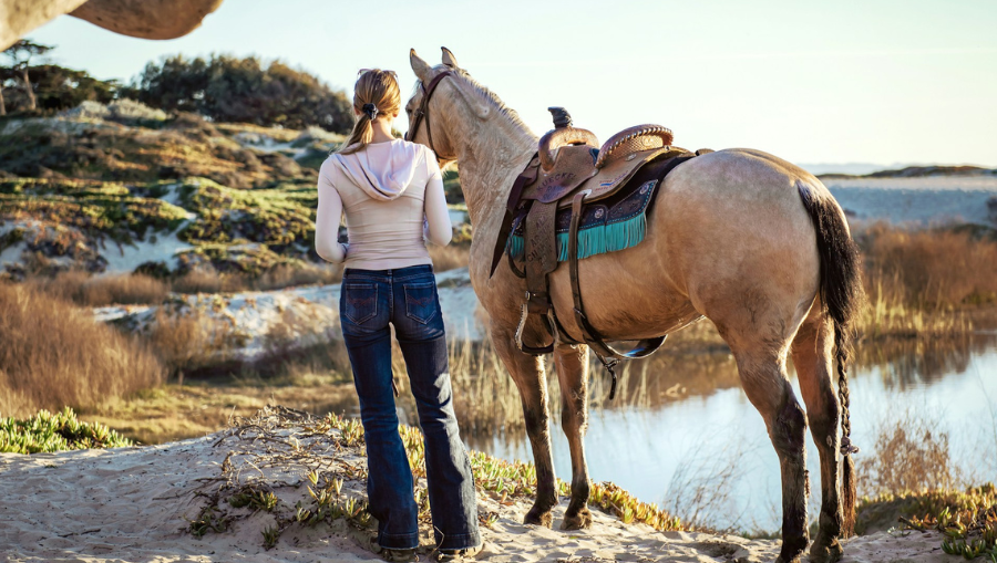 English vs. Western Saddles | Key Differences & How to Choose