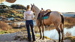 English vs. Western Saddles | Key Differences & How to Choose