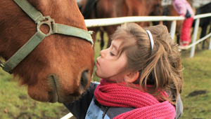 How to Treat 10 Common Horse Health Crisis