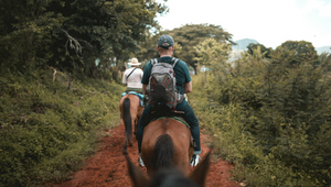 Essential Horse Riding Dos and Don’ts: A Rider’s Guide