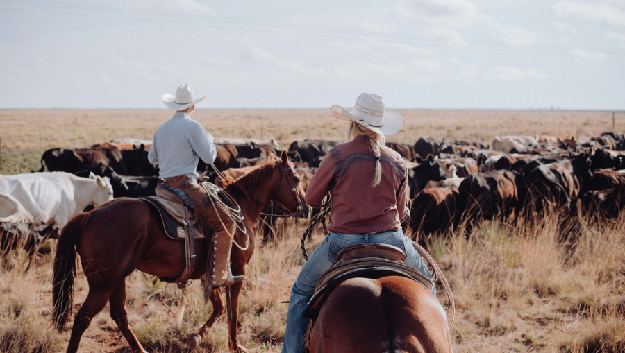 Advantages of Horseback Riding