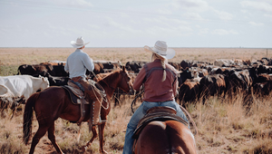 Advantages of Horseback Riding