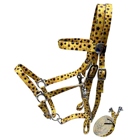 Showman ® Sunflower Nylon Premium combination halter bridle with reins.