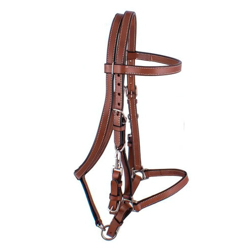 Showman ® Argentina Cow Leather Halter Bridle Combo.