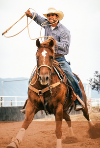 Roping Saddle