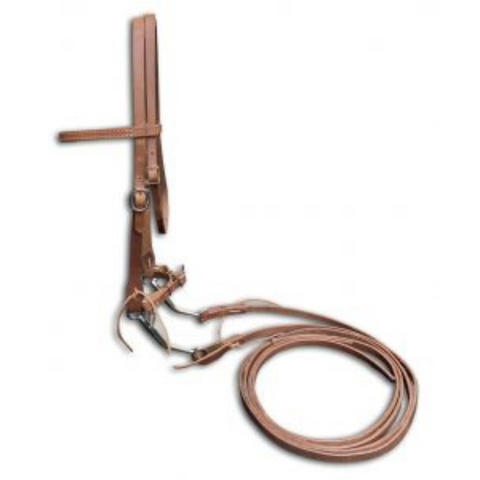 Argentina Cow Leather horse size bridle with LS 