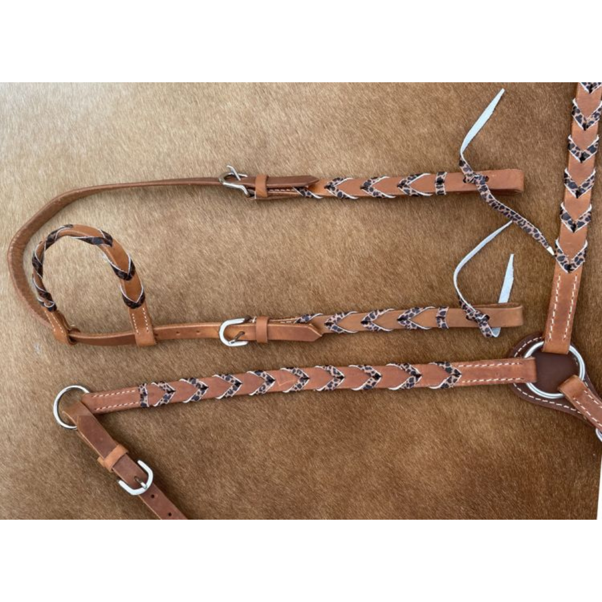 Showman® Argentina cow harness Leather one ear headstall and breast collar set with cheetah print lacing - Double T Saddles