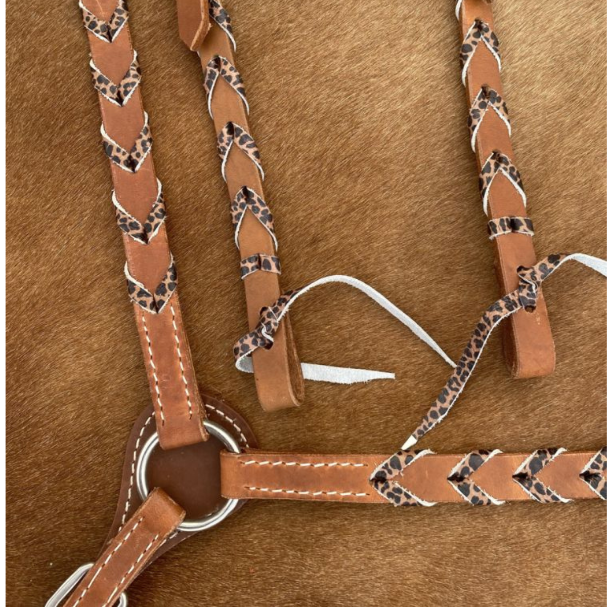 Showman® Argentina cow harness Leather one ear headstall and breast collar set with cheetah print lacing - Double T Saddles