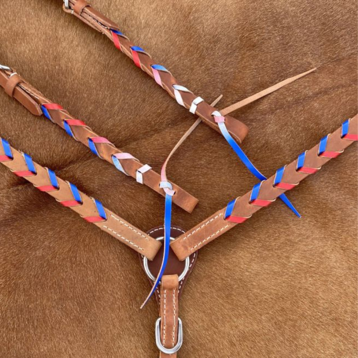 Showman® Argentina cow harness Leather one ear headstall and breast collar set - Double T Saddles
