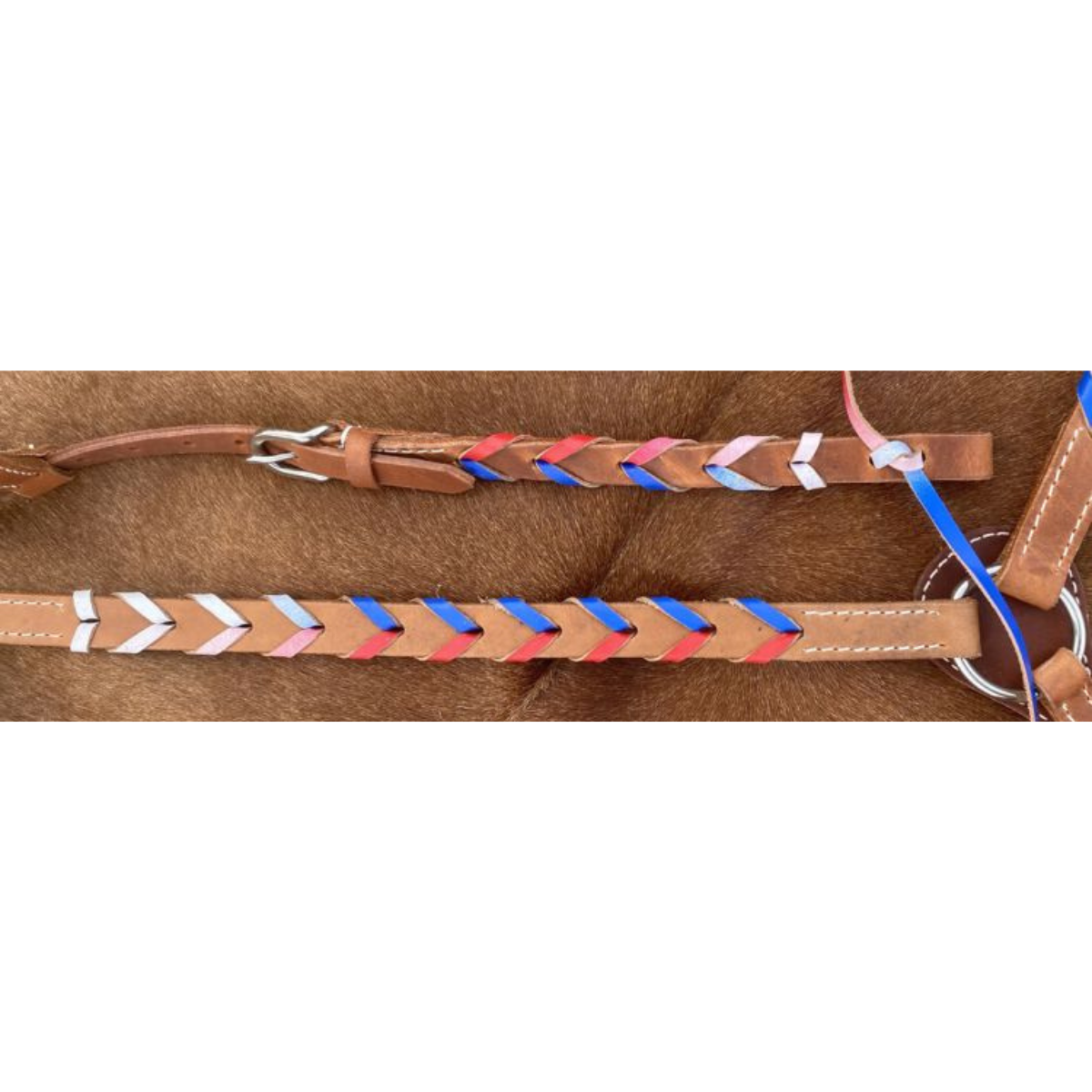 Showman® Argentina cow harness Leather one ear headstall and breast collar set - Double T Saddles