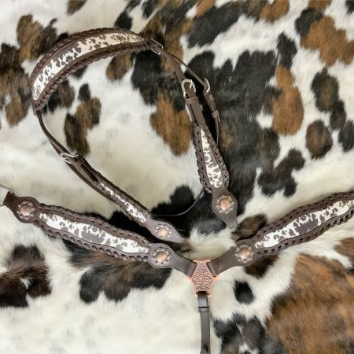 Showman ® Cowhide Print Browband Headstall and Breast collar Set. - Double T Saddles