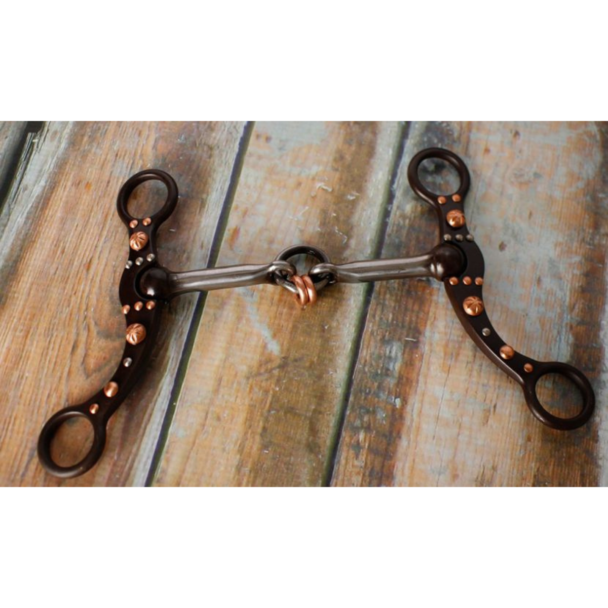 Showman ® brown steel bit with engraved copper studs and silver accents on the cheeks. - Double T Saddles