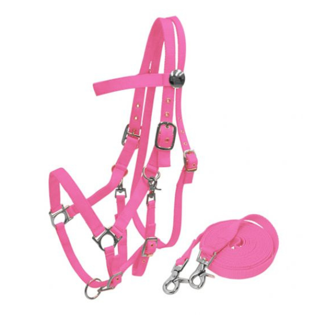 Showman ® Nylon combination halter bridle with reins. - Double T Saddles