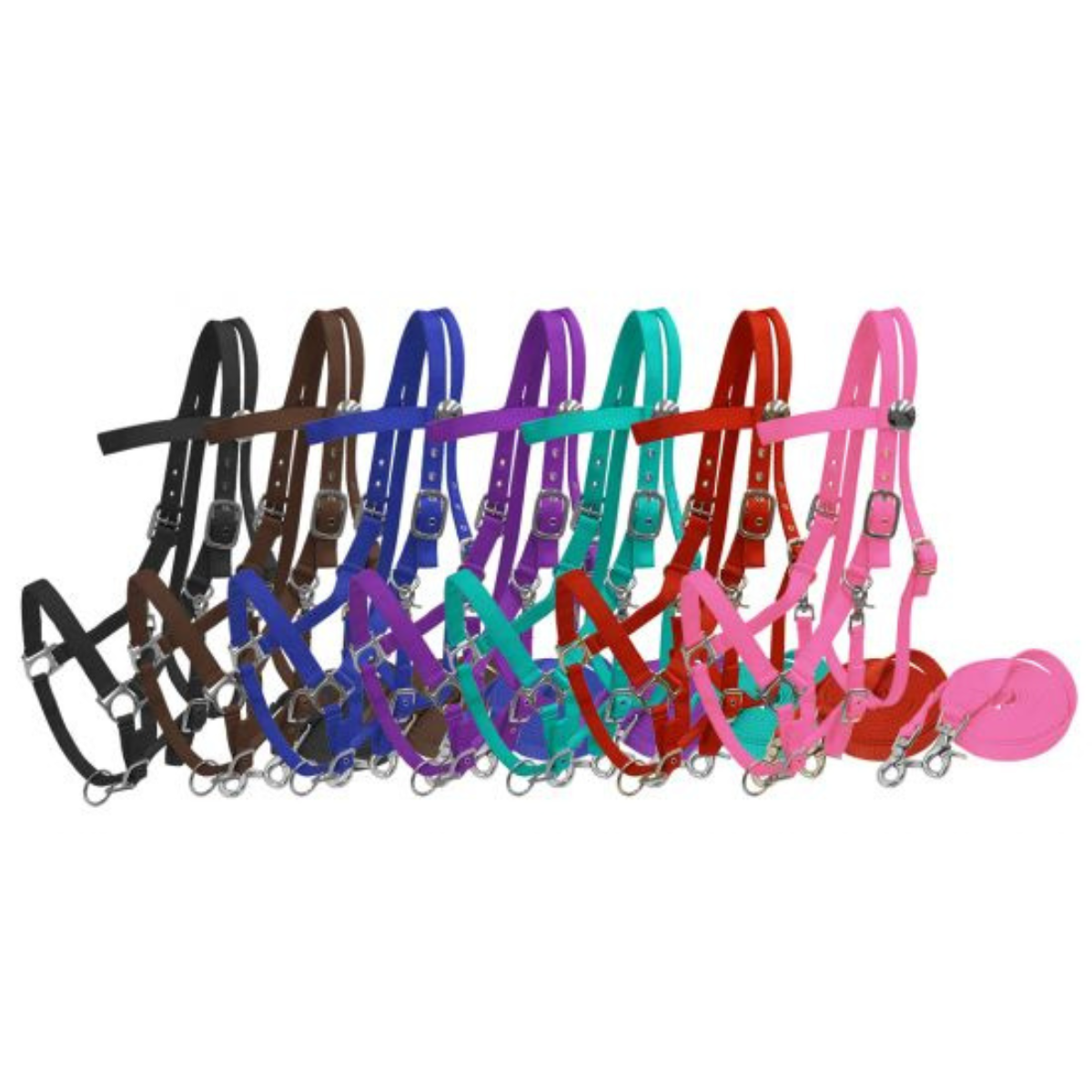 Nylon combination halter